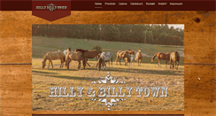 Desktop Screenshot of hilly-billy-town.de